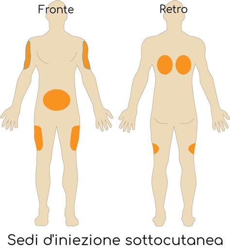 Illustrazione delle sedi di iniezione del vaccino (coscia per neonati, deltoide per adulti)