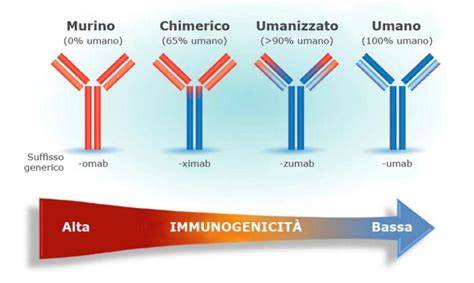 schema decisionale per la prevenzione RSV: vaccinazione materna vs anticorpi monoclonali