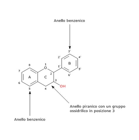 Diagramma che mostra la struttura chimica delle catechine e il loro effetto antiossidante