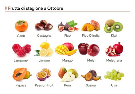 Varia selezione di frutta di stagione per lo svezzamento
