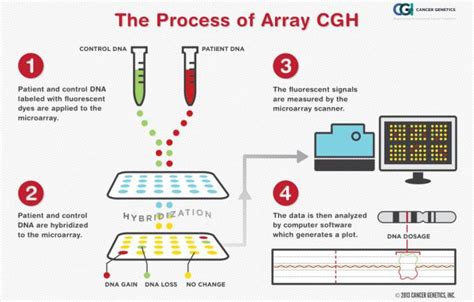 Schema del processo array CGH