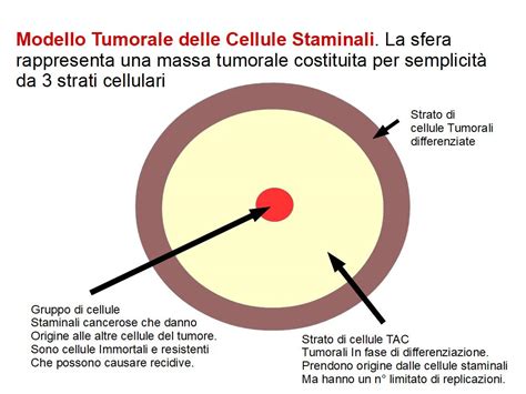 rappresentazione schematica dell'eterogeneità clonale all'interno di una massa tumorale