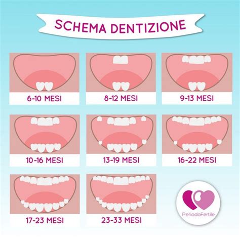 Sviluppo dentale del bambino