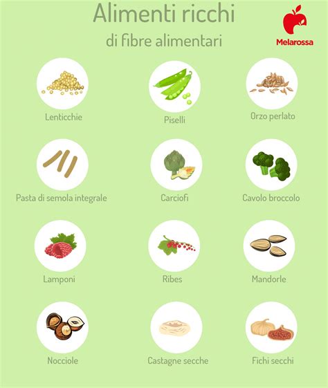 alimenti ricchi di fibre