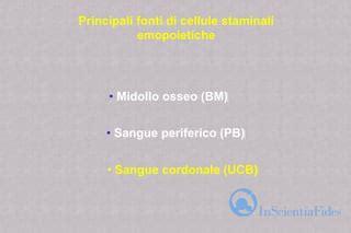 Illustrazione concettuale di una banca del sangue cordonale