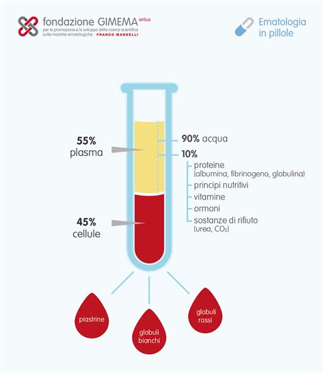 Schema dei globuli rossi nel sangue e nelle urine