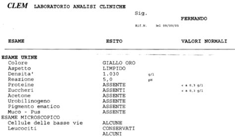 Illustrazione di un referto di esame urine con evidenziate le voci principali