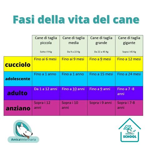 Diagramma della pelle di un cane che mostra disidratazione