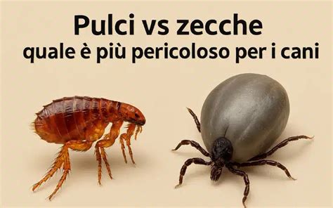 Illustrazione di pulci e zecche su un cane