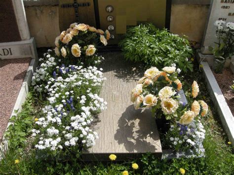 Tomba con fiore che nasce