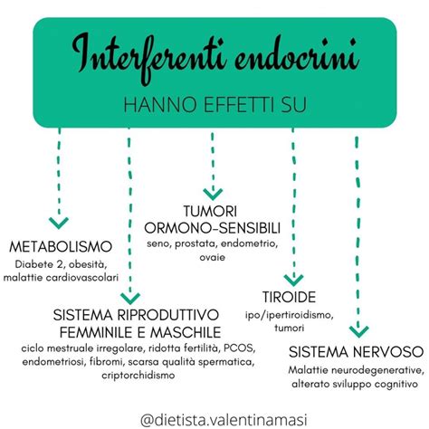 infografica che mostra la differenza tra ormoni naturali e interferenti endocrini