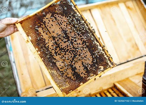 Dettaglio di un materassino traspirante con struttura a nido d'ape