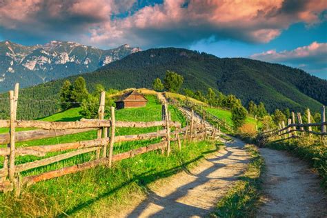 Paesaggio rurale rumeno con bambini e animali