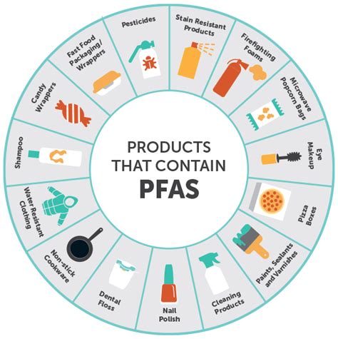 PFAS in car seats infographic