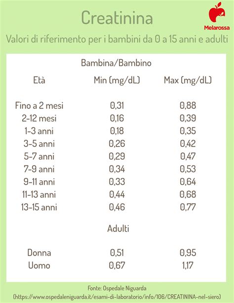 Gravidanza e valori di creatinina