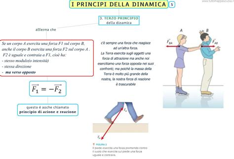Principi della Legge 40/2004