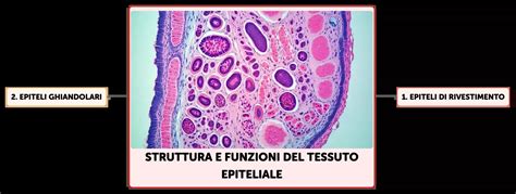 Schema tecnico che mostra i tre strati del tessuto del cuscino da bagno (tessuto, imbottitura EPS, rete 3D)