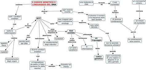 Mappa concettuale del miglioramento genetico bovino