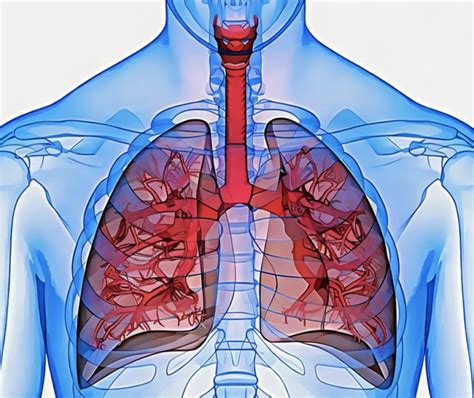 diagramma di Punnett che mostra la trasmissione della fibrosi cistica tra genitori portatori