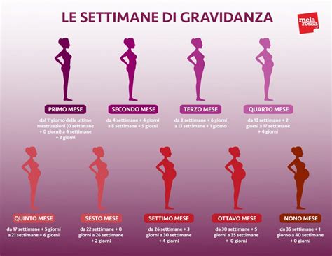 grafico che illustra i livelli dell'ormone hCG nelle prime settimane di gravidanza
