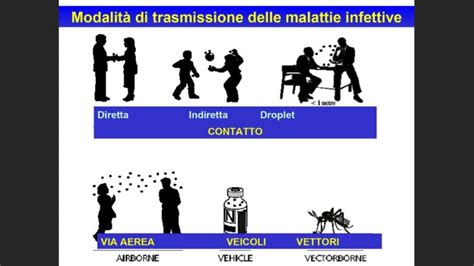 Diagramma delle vie di trasmissione delle IST