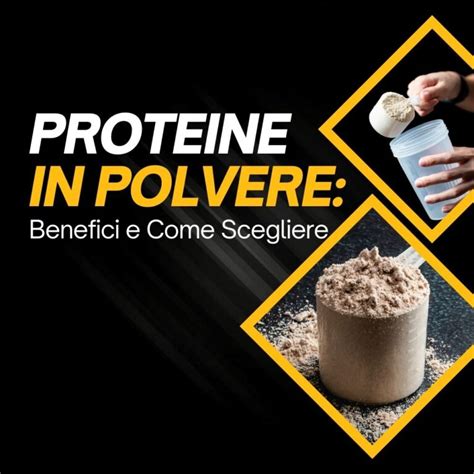 Diversi Tipi di Proteine in Polvere