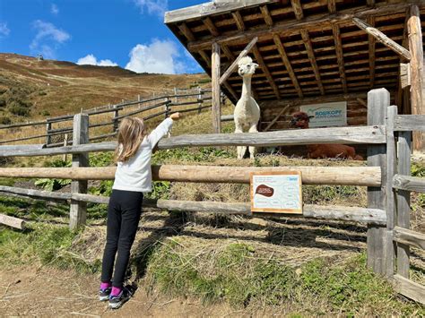 Bambini in trekking con i lama sul Monte Cavallo