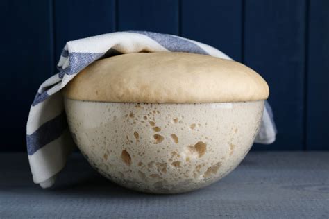 Schema illustrativo della preparazione dell'impasto: dai liquidi alla farina, fino al processo di lievitazione in ciotola coperta.