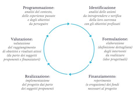 Processo di Analisi Ovocitaria con AI