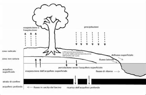 Rappresentazione del ciclo vizioso dolore-paura-tensione