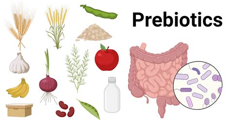Graphic depicting the function of prebiotics, niacinamide, and bamboo powder in deodorants