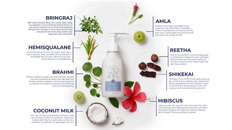 Infographic showing the ingredients and benefits of a hair strengthening conditioner