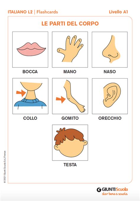 Bambini che giocano al memory game con le parti del corpo