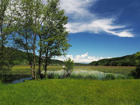 paesaggio malinconico che rappresenta il contrasto tra industria e natura