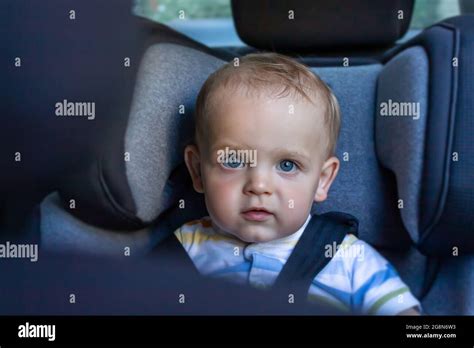 Bambino addormentato nel seggiolino auto