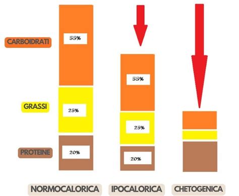 Grafico che mostra la perdita di peso con dieta ipocalorica vs. dieta HCG