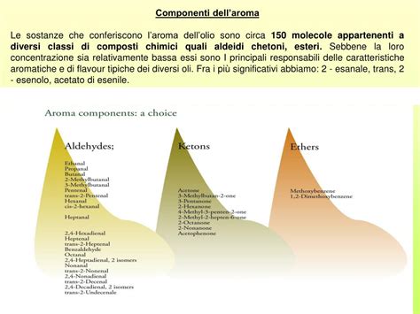 Infografica che mostra la composizione chimica dell'olio di mandorle dolci