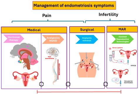 treatment options flowchart for endometriosis