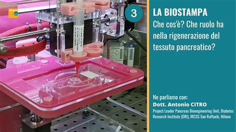 Schema che illustra i componenti della triade rigenerativa e il ruolo della membrana amniotica