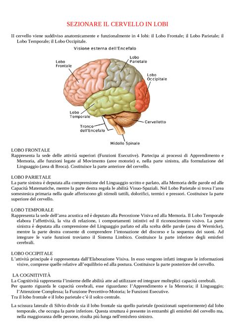 Diagramma sull'effetto del movimento ondulatorio sul cervello