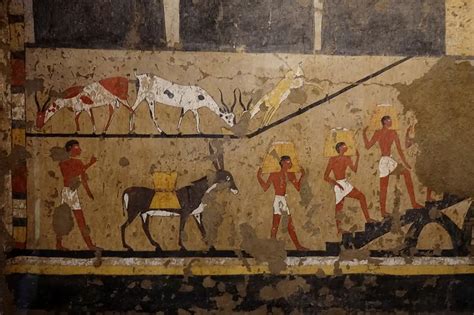 Asino che trasporta un carico in un paesaggio rurale del Sud Italia