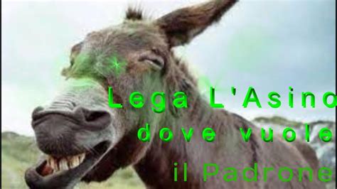 Padrone che lega un asino al palo