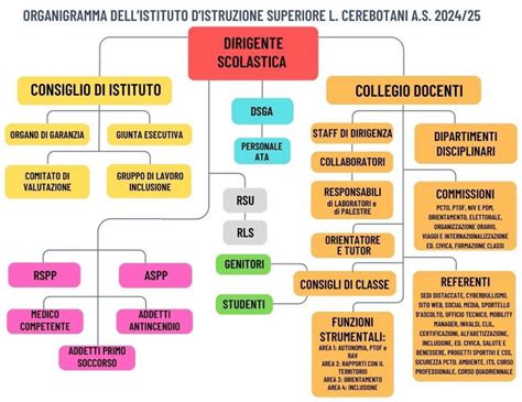 Diagramma organizzativo per l'assistenza autonoma ostetrica BRO