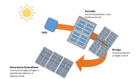 Diversi modelli di panieri Milo, illustrando la loro modularità e robustezza
