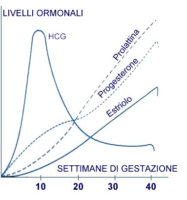 Livelli ormonali durante allattamento