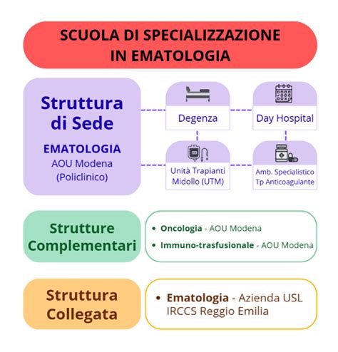Rete formativa della Scuola di Specializzazione