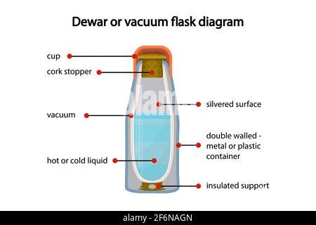 Sezione trasversale di un thermos per biberon che mostra l'isolamento a doppia parete sottovuoto