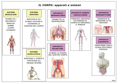 rappresentazione del corpo come interfaccia tra reale e virtuale
