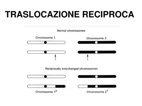 schema illustrativo della differenza tra traslocazione bilanciata e sbilanciata
