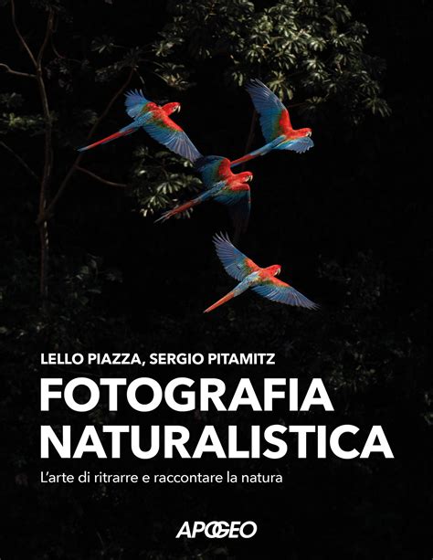 fotografia naturalistica che ritrae l'ambiente e la vita quotidiana nelle comunità Masai
